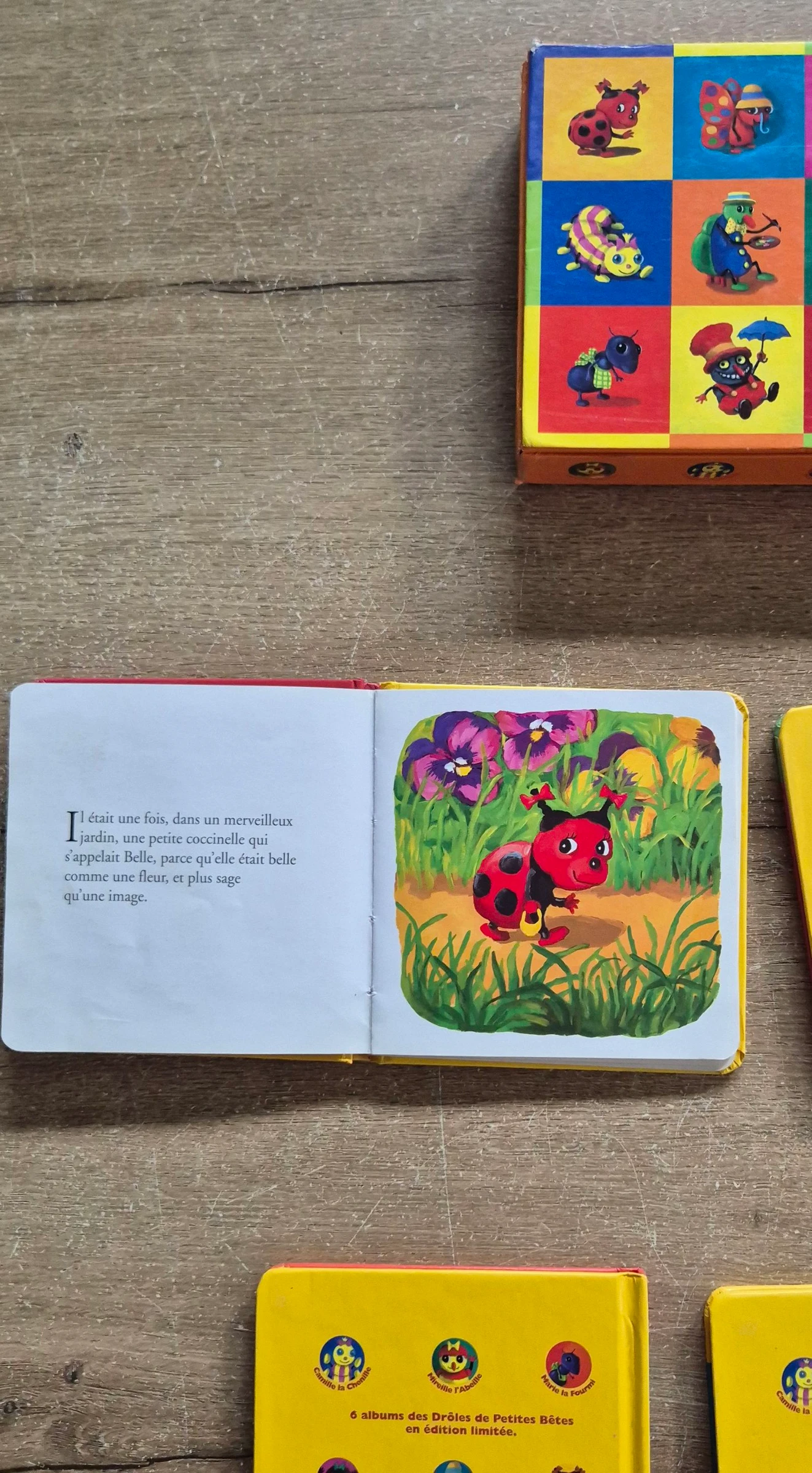 Cofre coleccionista Drôles de petites bêtes – photo 8